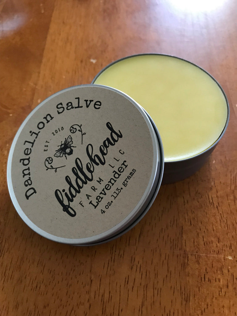 Salve: Dandelion Salve Lavender
