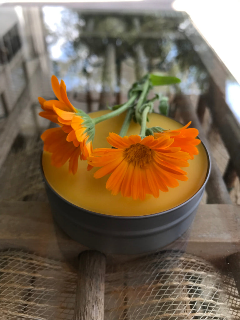 Salve: Calendula Flower Salve