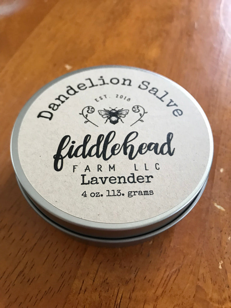 Salve: Dandelion Salve Lavender