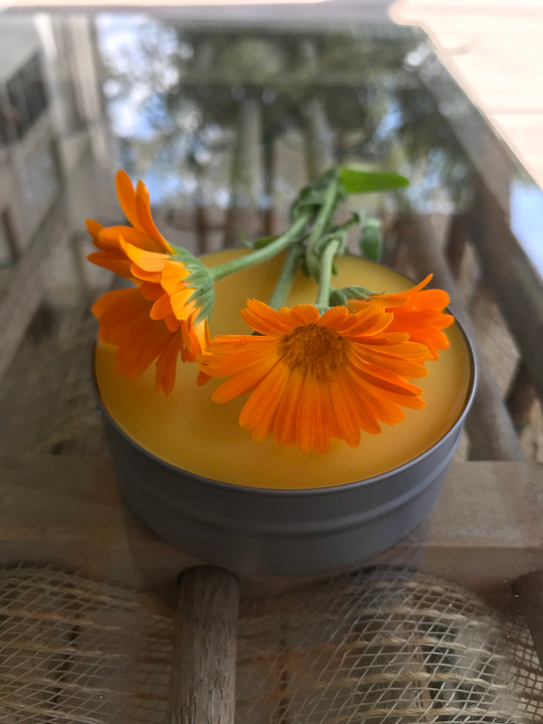 Salve: Calendula Flower Salve