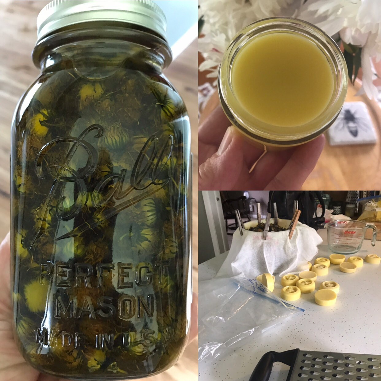 Salve: Dandelion Salve Lavender