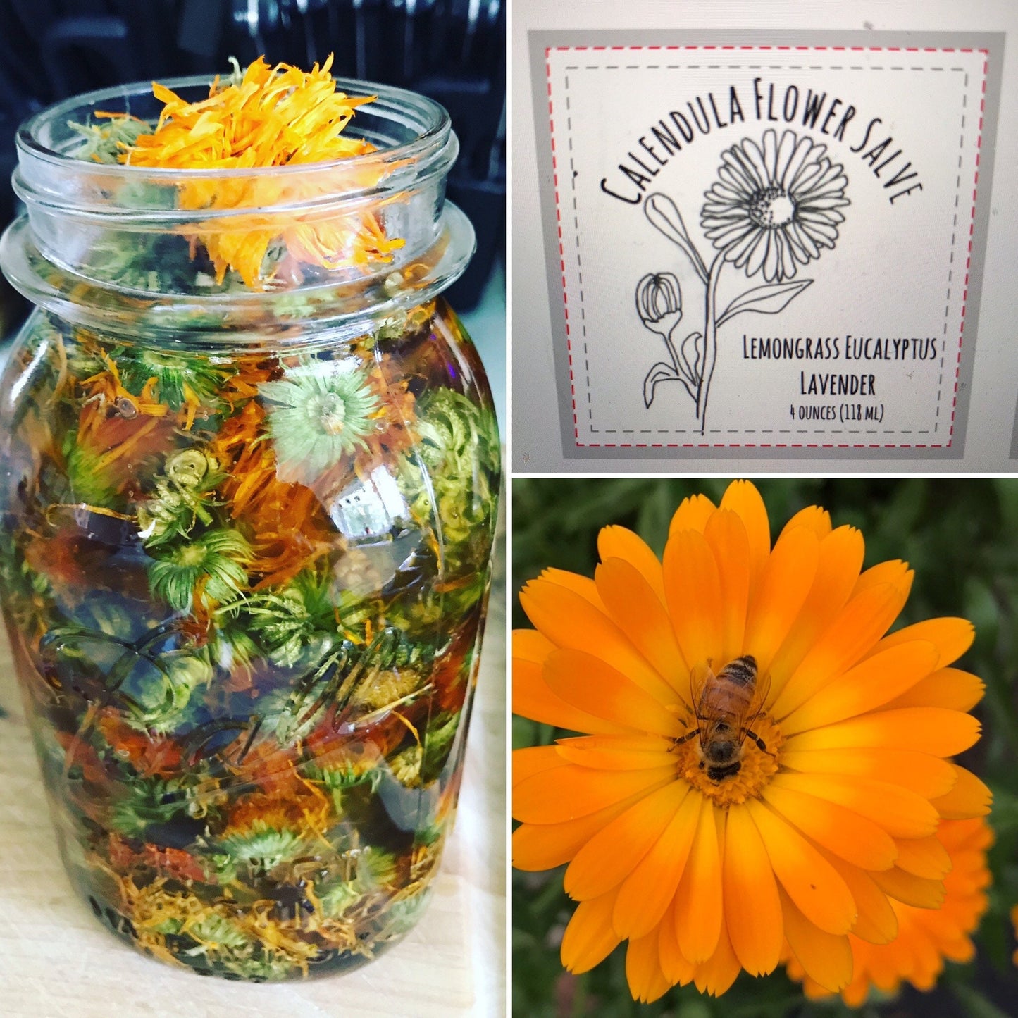 Salve: Calendula Flower Salve