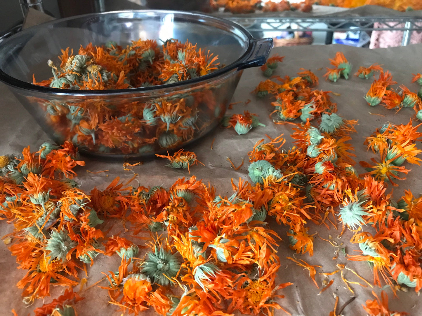 Salve: Calendula Flower Salve