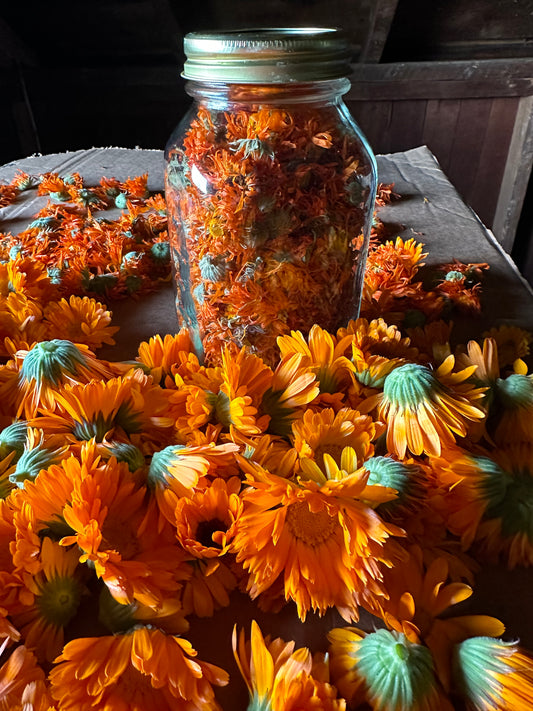 Calendula Flower Salve