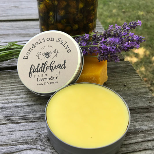 Salve: Dandelion Salve Lavender